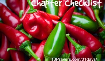 chapter checklist